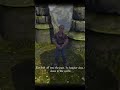 Meeting the most relatable NPC ever (Fable Anniversary)