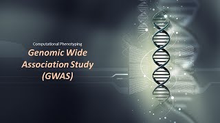 Genomic Wide Association Study
