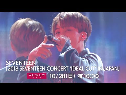 SEVENTEEN Japan LIVE SPOT&TEASER   YouTube