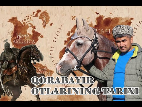 QORABAYIR OTLARINING TARIXI | ҚОРАБАЙИР ОТЛАРИНИНГ ТАРИХИ