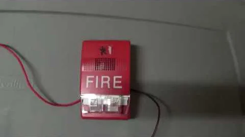 EST Genesis "Walk Test" 2