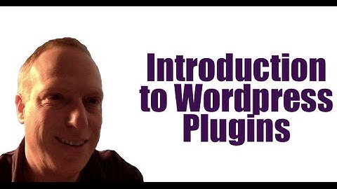 Wordpress Training Video 4   Introduction to Wordpress Plugins   Baer On Marketing