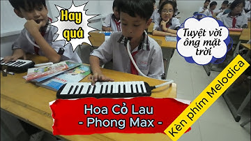 Kèn Phím Melodica | HOA CỎ LAU - PHONG MAX | Nguyễn Xuân Anh Cover