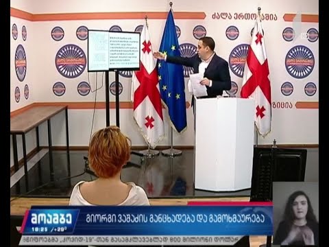 გიორგი ვაშაძე ანტიკრიზისულ გეგმას გამოეხმაურა