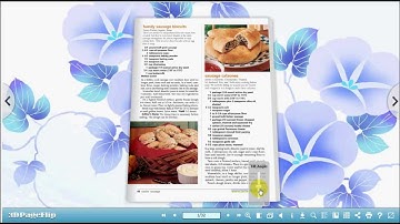 Set Page Ranges to import Flip Book by 3D PageFlip Standard