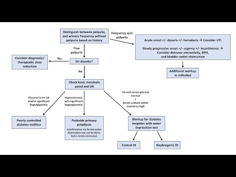 An Approach to Polyuria