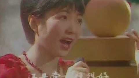 程琳-风雨兼程