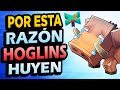 Esta es la Razón por la que los Hoglins HUYEN en Minecraft