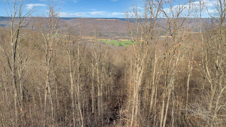 LOT 2 S Pittsburg Mountain Rd, South Pittsburg, TN