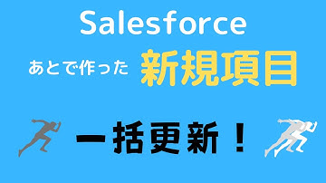 Salesforce 取引先責任者の新しい項目を一括更新