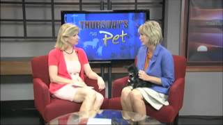 Thursday's Pet: June 27, 2013