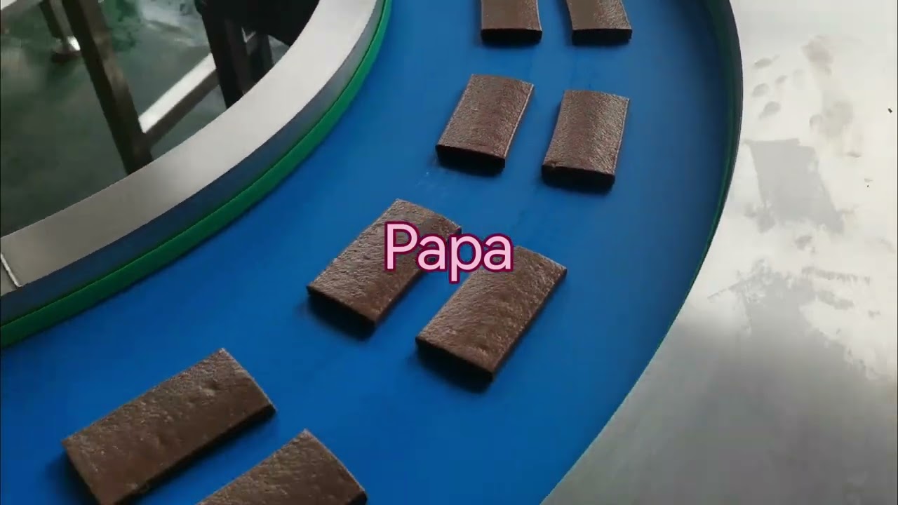 Testing video for Papa P308 dates bar extruder machine with hopper heating and cooling function