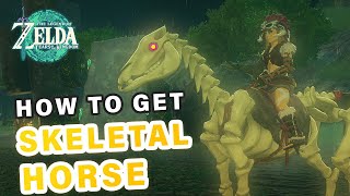 How to do 'Horse Guard's Request' | Skeletal Horse Location ► Zelda: Tears of the Kingdom