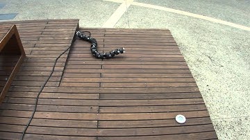 Lola-OP and Simulator - Sidewinding edge Interaction