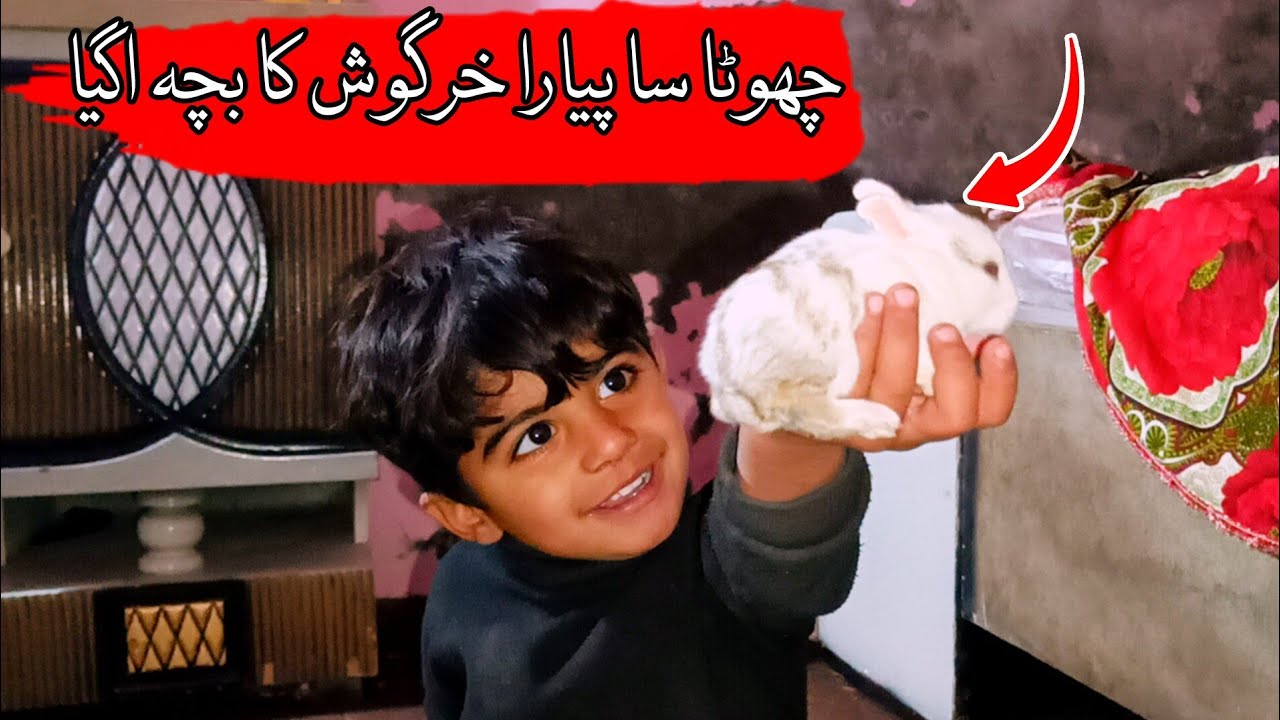 New Rabbit Baby Burn 😁 || Rabbit Baby Aa Giya 🤣