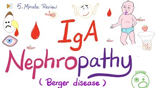 IgA Nephropathy (Berger’s Disease) | Nephrology 🩸