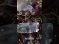 So sweet grapes viral viewerslvstv