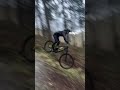 MTB Fails Compilation 2026 💀 | Curves, Crashes &amp; Face Plants Gone Wrong