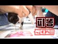 고양이설사... 살려주세요 : 병맛 고양이 예능 3편 | 고양이 산책