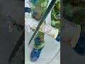 Insane Hand Saw Cuts Wood Like BUTTER! #Shorts #Tools #Satisfying