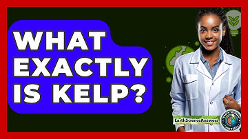 What Exactly IS Kelp? - Earth Science Answers