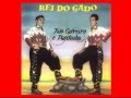 REI DO GADO com TIÃO CARREIRO E PARDINHO