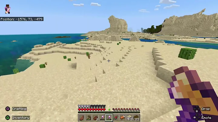 Playing Minecraft