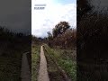 правда не оскверняет
