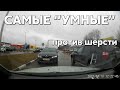 Подборка САМЫХ "УМНЫХ" водителей #670