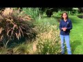 Blades and Plumes Garden: Fountain Grasses