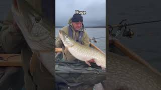 Chew Valley 33lb Pike  Day after the British Record was caught #pikefishing #fishinguk #bigpike