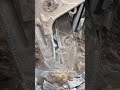 Hydraulic Pulverizer in Action | Efficient Concrete &amp; Debris Crushing