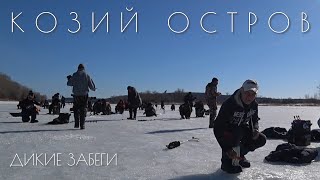 картинка: Дикие забеги за бешеной плотвой на Козьем острове! БЕЗМОТЫЛКА! Последний лед