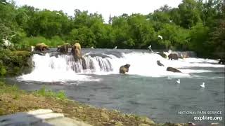 How to steal a fish from 128 Grazer. Act 2 07-19-2021