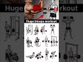 The Ultimate Bicep Workout Guide (Charts Included) #workout #bicepsworkout #armworkout