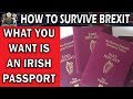 What Brexit Needs is an Irish Passport