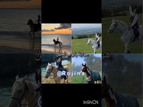 اي هواية تفضلو تفاعلو لايك اشتراك بالقناه ليصلك كل جديد 