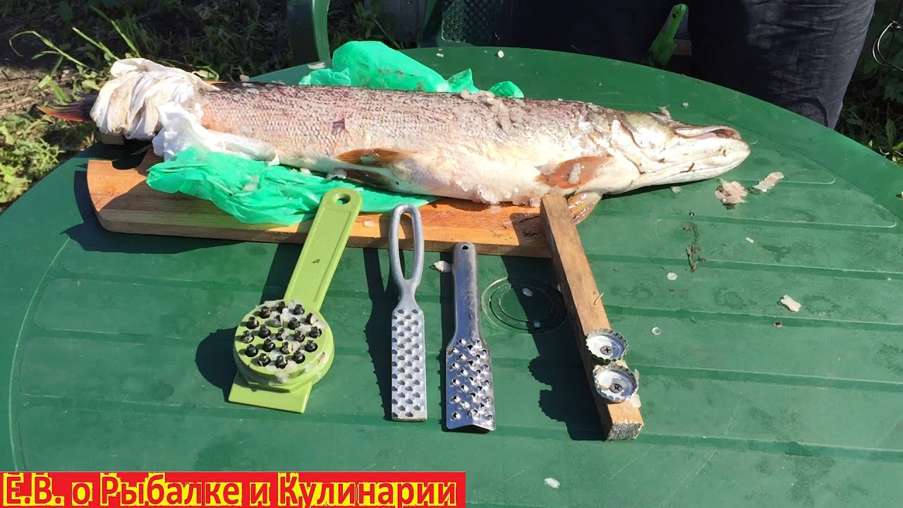 Самые лучшие рыбочистки для рыбы ТОП 3. ТОП 3 рыбочисток для рыбы.  Лучшие рыбочистки.