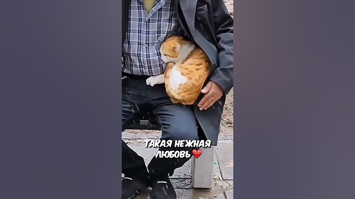 так выглядит НАСТОЯЩАЯ ЛЮБОВЬ 🥰 #животные #помощь #добро