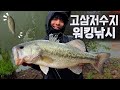 고삼저수지에서 짧은시간 마릿수와 빅배스를 만나고 왔습니다!!