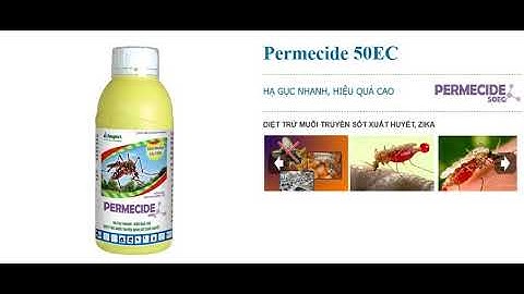 Permecide 50EC - Thuốc diệt ruồi, muỗi gây bệnh dịch tả, sốt xuất huyết, Zika