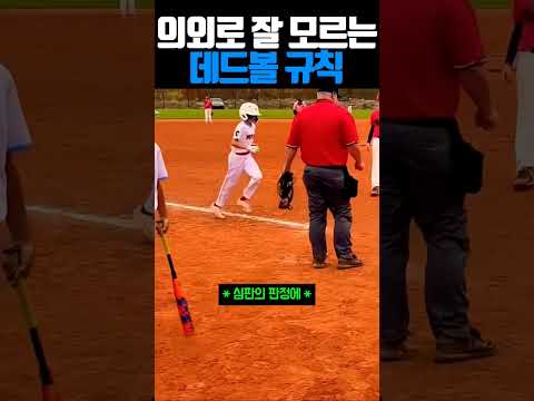 의외로 잘 모르는 데드볼 규칙 #야구