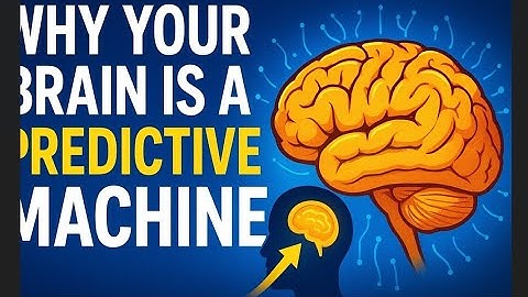 The Secret Life of Your Brain: It