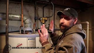 Squirrel Removal From Furnace by Animal Trackers Wildlife 3,978 views 8 years ago 1 minute, 6 seconds