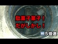 【閲覧注意】建売の３階建て住宅の２階のキッチンのシンクからドレンクリーナーで通管作業してから高圧洗浄機で洗管作業しました♪