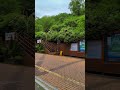 Haneul Park Seoul | Breathtaking Views at 하늘공원 | Best Nature Spot in Korea! #HaneulPark #하늘공원