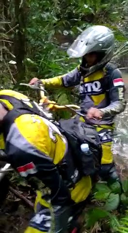 STORY WA TERBARU 2020 || STORY WA 30 DETIK || STORY WA KEREN || TRABAS HUTAN TUMBANGTITI