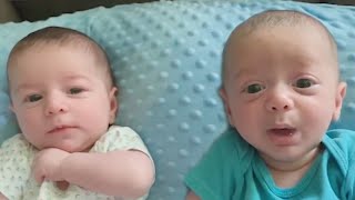 Adorables bébés jumeaux se battant pour des choses et jouant ensemble by Vidéos Drôles 15,396 views 3 years ago 8 minutes, 19 seconds