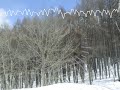 ゆみゆみ-(浄弦)冬赫春
