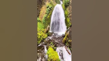 بسم الله ما شاء الله تلاوة رائعة و صوت جميل خاشع يريح القلب و الأعصاب@مجيدوchanel